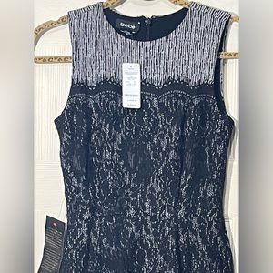 Bebe Lace Contrast Jacquard Midi Dress.  Size-XSmall.  New with Tags.